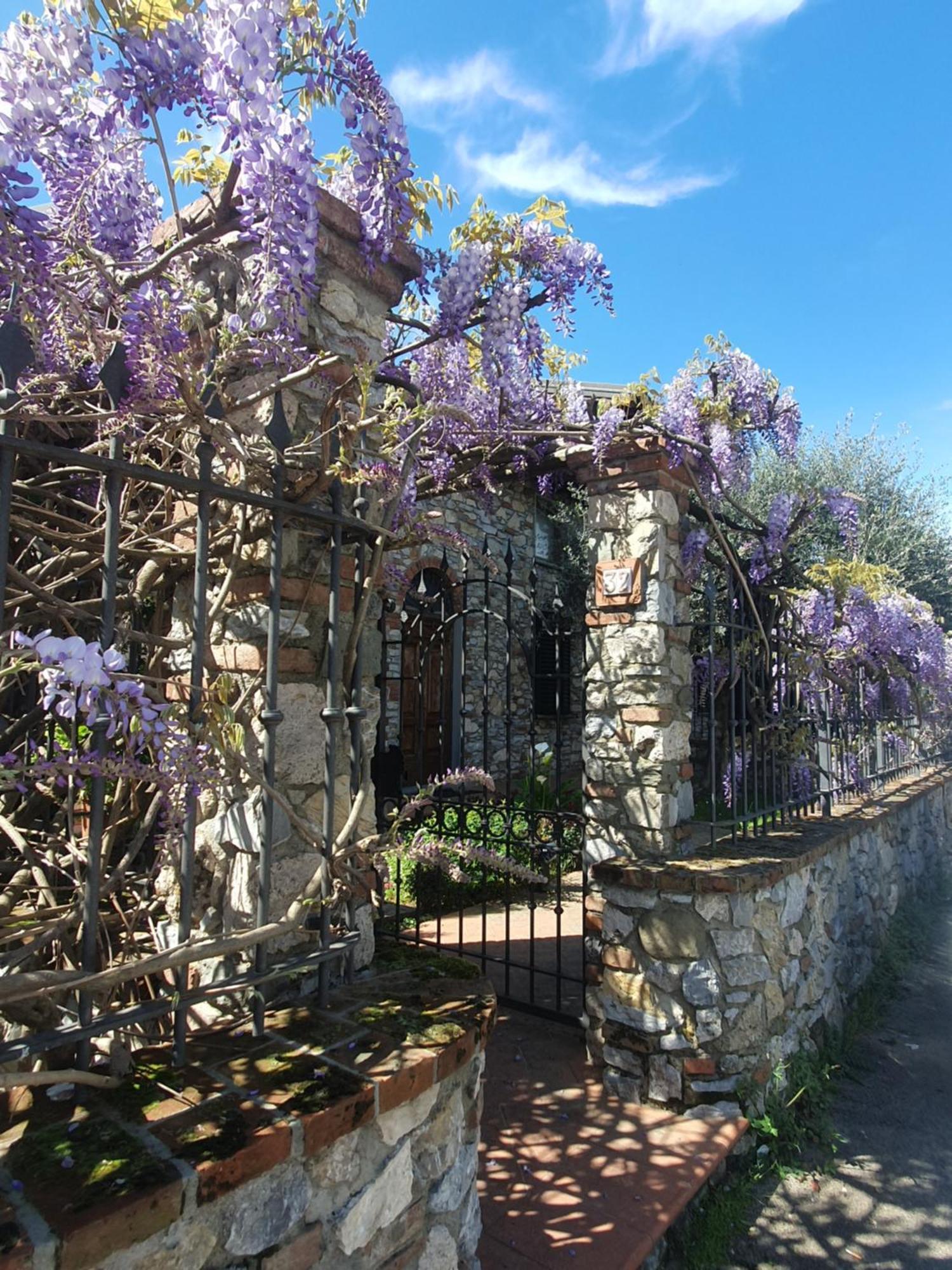 Pietra E Glicine B&B Pieve a Nievole ภายนอก รูปภาพ